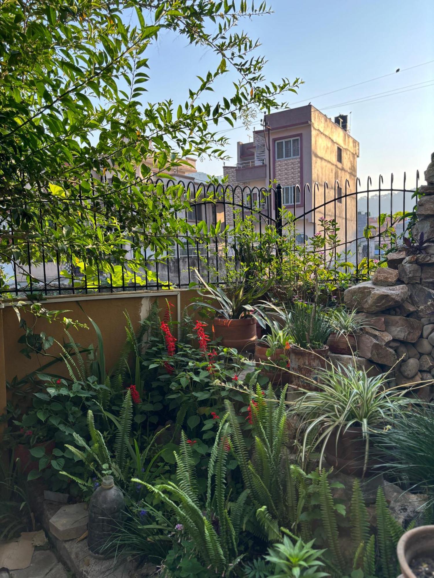 Mums Homestay & Studio Apartments Катманду Екстер'єр фото